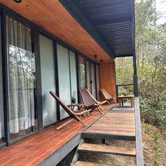 Disfruta del Bosque