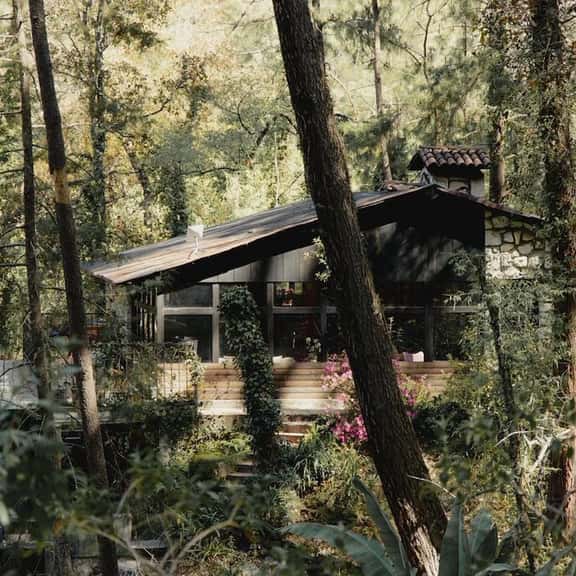 El verdadero lujo es la naturaleza - Imagen 1