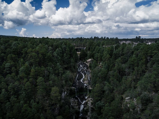 Aerial view of pine forest and waterfall in Mazamitla